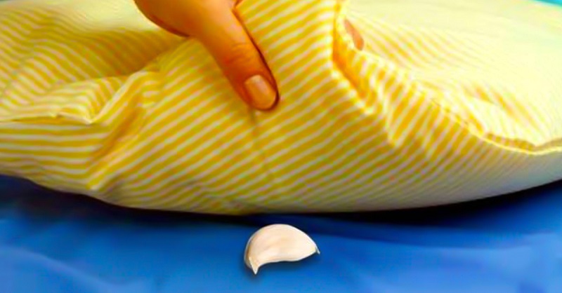 Ця жінка ховала зубчик часнику під подушку свого сина щоночі … Причина проста!