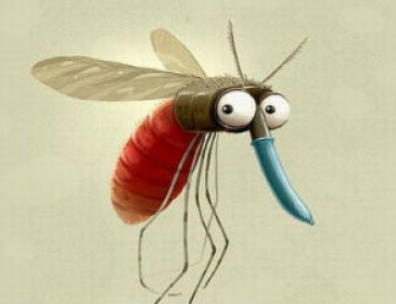 Кого з людей комарі «люблять» найбільше: вчені