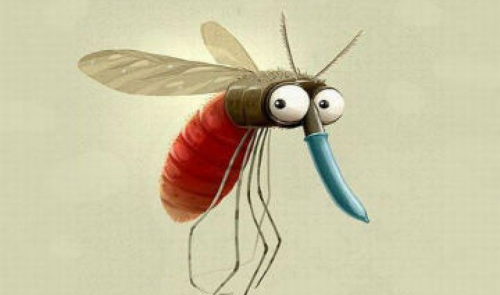 Кого з людей комарі «люблять» найбільше: вчені