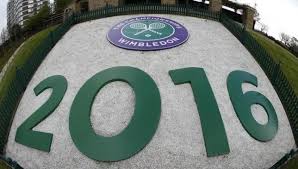 У жіночому фіналі Wimbledon-2016 зіграють Серена Вільямс і Ангелік Кербер