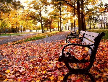 Як зустріти осінь і не впасти в депресію: дієві поради