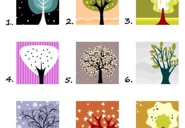 Виберіть 2 дерева, які б ви посадили в своєму саду, і дізнайтеся результати