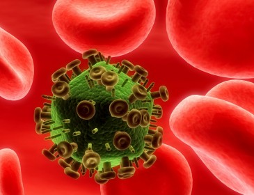 Прорив у медицині. Вперше від ВІЛ-інфекції вилікували дорослу людину.