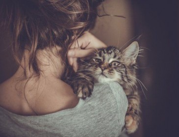 Будьте пильні! Кішки провокують ПМС у жінок